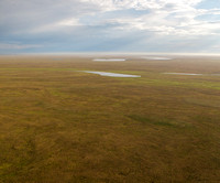 Enroute to Barrow, National Petroleum Reserve-Alaska